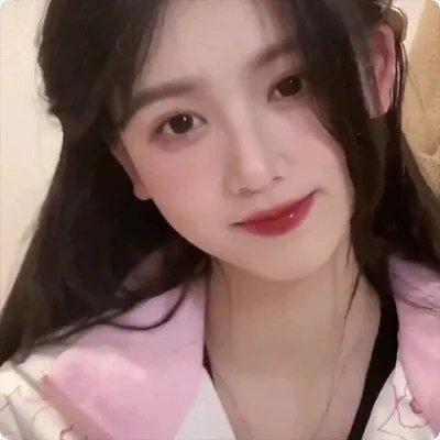 妙探双龙